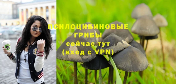PSILOCYBIN Абдулино