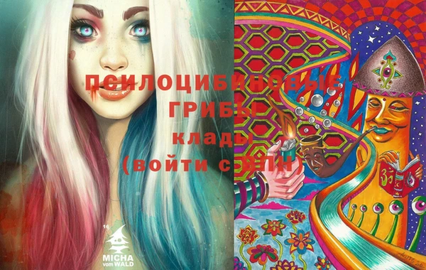 прущие грибы Алексин