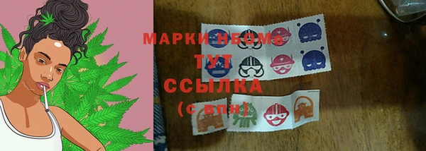 PSILOCYBIN Абдулино