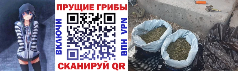 Галлюциногенные грибы Psilocybine cubensis  сколько стоит  Полтавская 